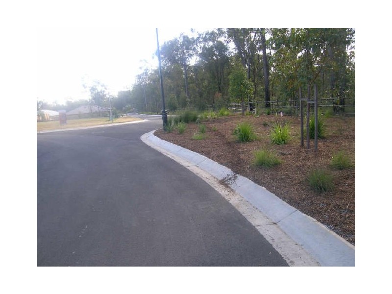 407 Wadeville Street, Pallara QLD 4110