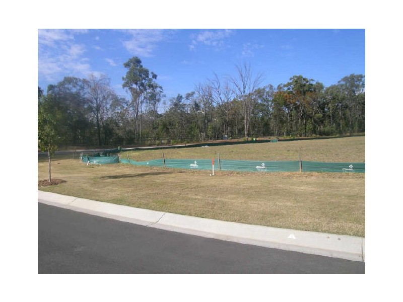 407 Wadeville Street, Pallara QLD 4110