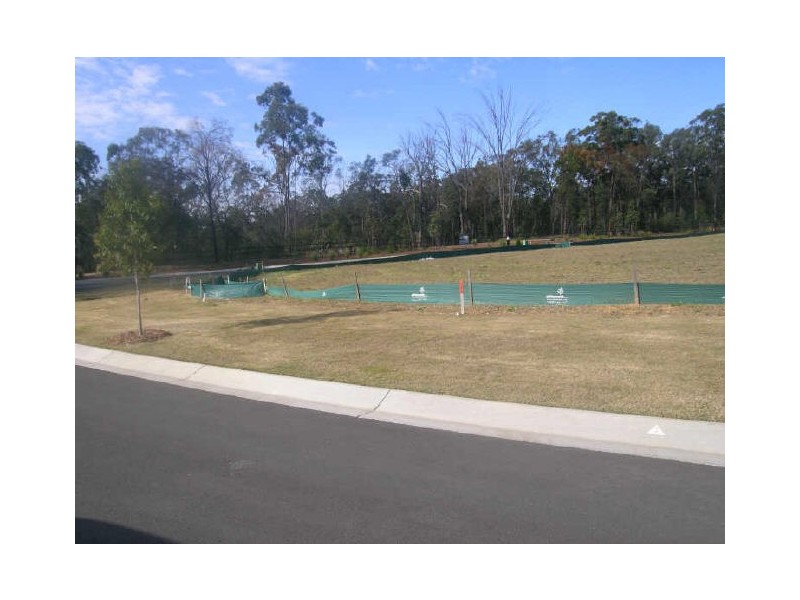 407 Wadeville Street, Pallara QLD 4110