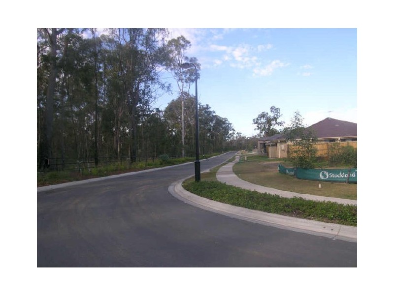 407 Wadeville Street, Pallara QLD 4110