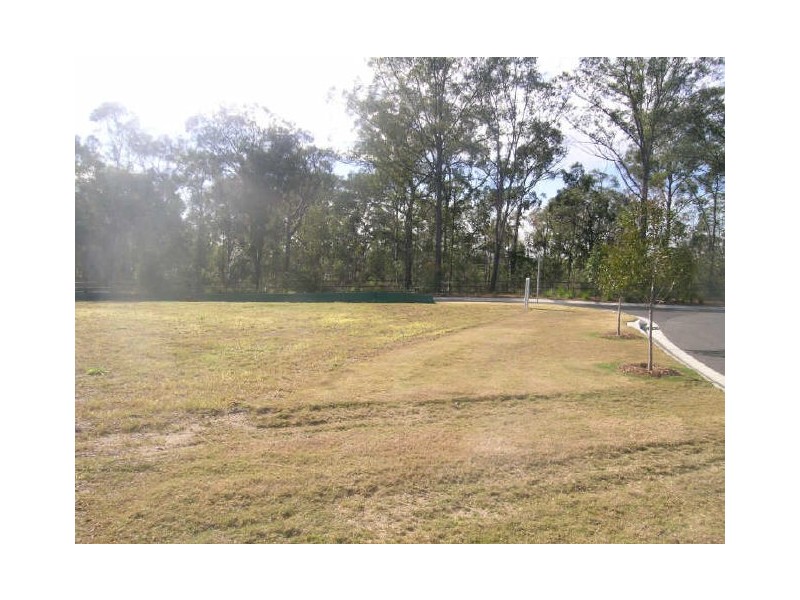 407 Wadeville Street, Pallara QLD 4110