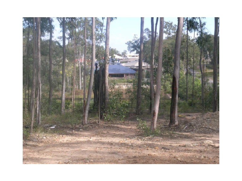 407 Wadeville Street, Pallara QLD 4110