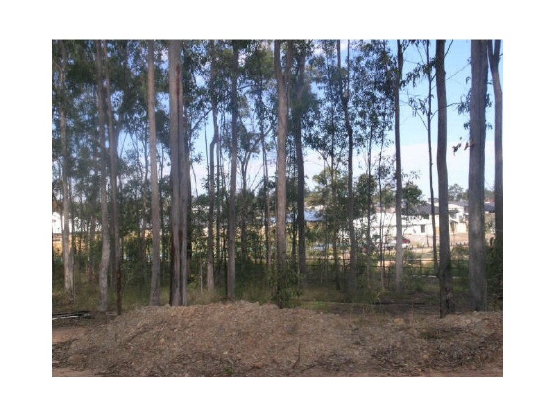 407 Wadeville Street, Pallara QLD 4110