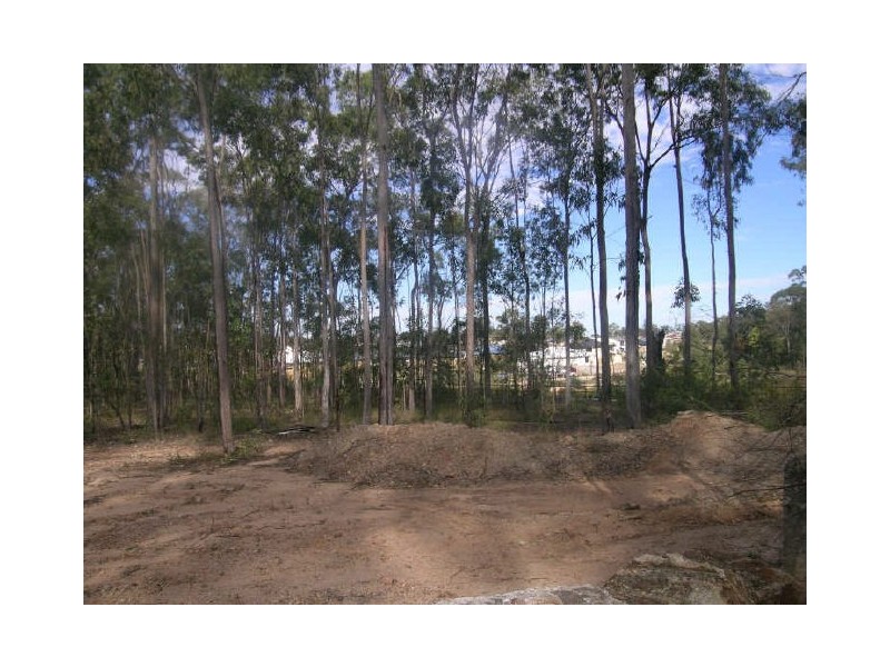 407 Wadeville Street, Pallara QLD 4110