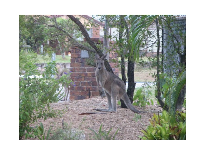 10-12 Kadlunga Court, Boronia Heights QLD 4124