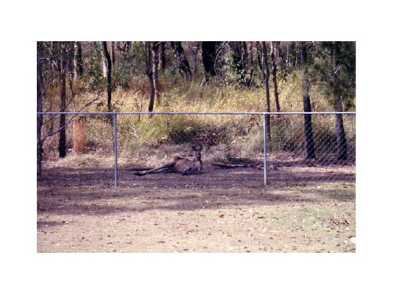 10-12 Kadlunga Court, Boronia Heights QLD 4124