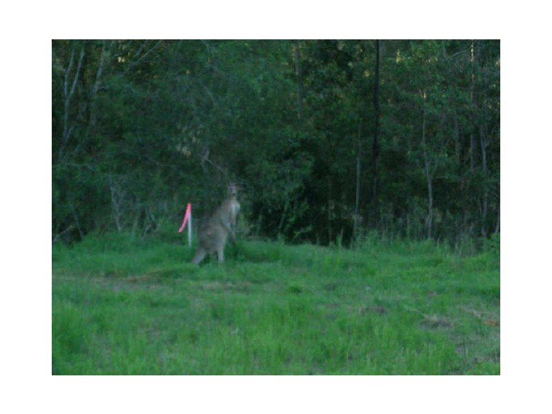 Lot 20/10-14 Natasha Court, Greenbank QLD 4124