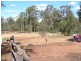 65 Grampian Road, South Maclean QLD 4280