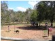 65 Grampian Road, South Maclean QLD 4280