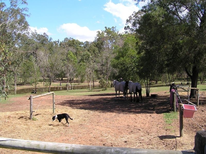 65 Grampian Road, South Maclean QLD 4280