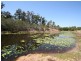 89 Sentinel Drive, Greenbank QLD 4124