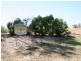 89 Sentinel Drive, Greenbank QLD 4124