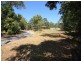 117 Peverell Street, Hillcrest QLD 4118