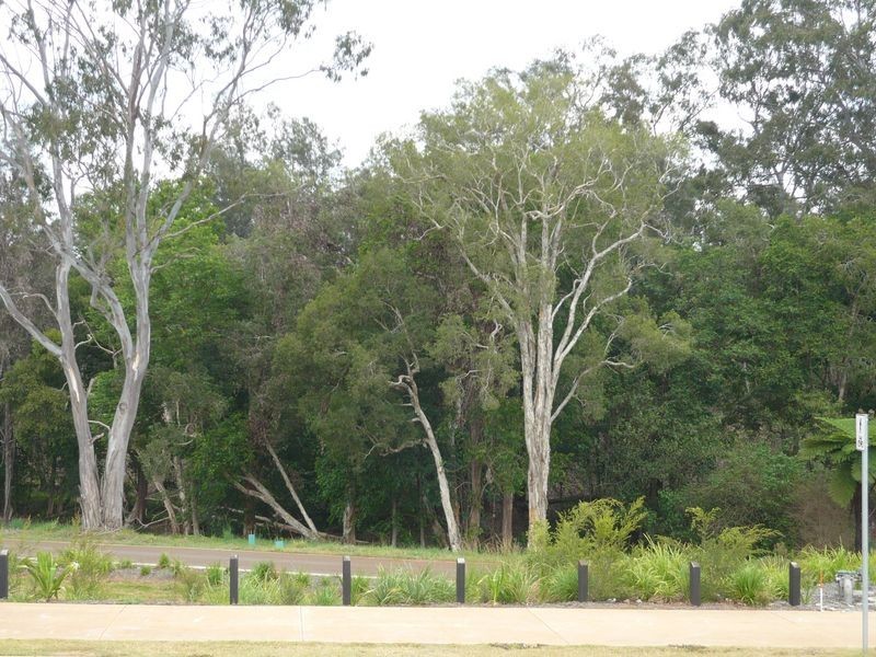 84 Pioneer Drive, Kuraby QLD 4112