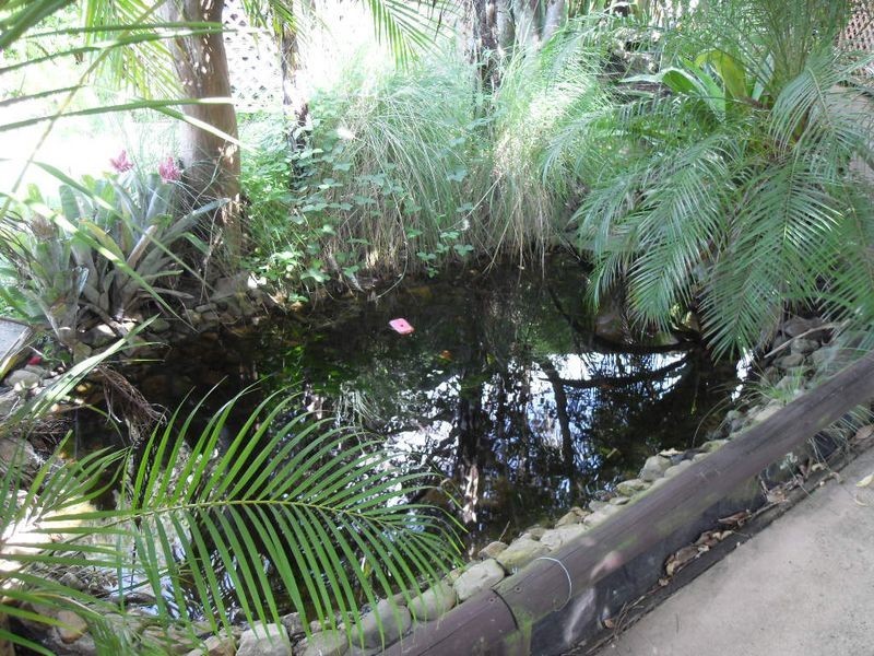 21 Wilkins Court, Boronia Heights QLD 4124