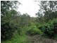 341 Dennis Road, Cedar Vale QLD 4285