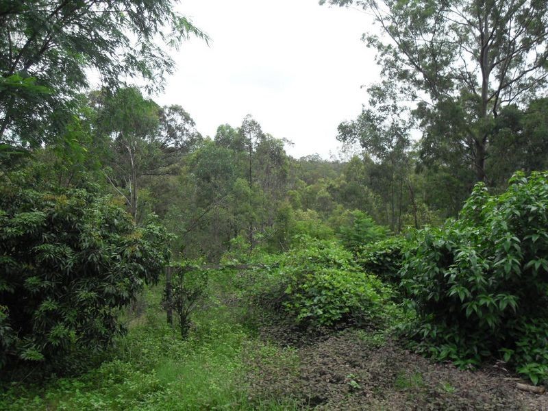 341 Dennis Road, Cedar Vale QLD 4285