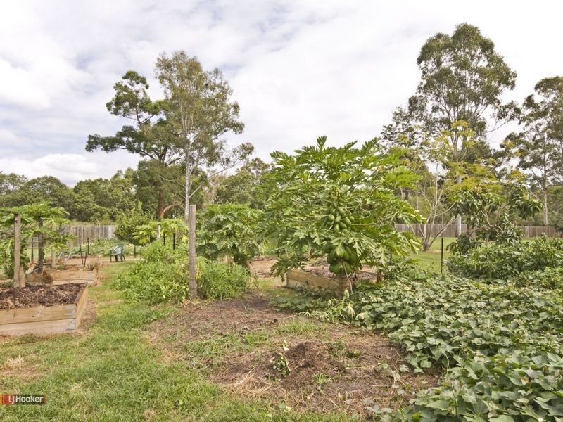 717 Wembley Road, Browns Plains QLD 4118