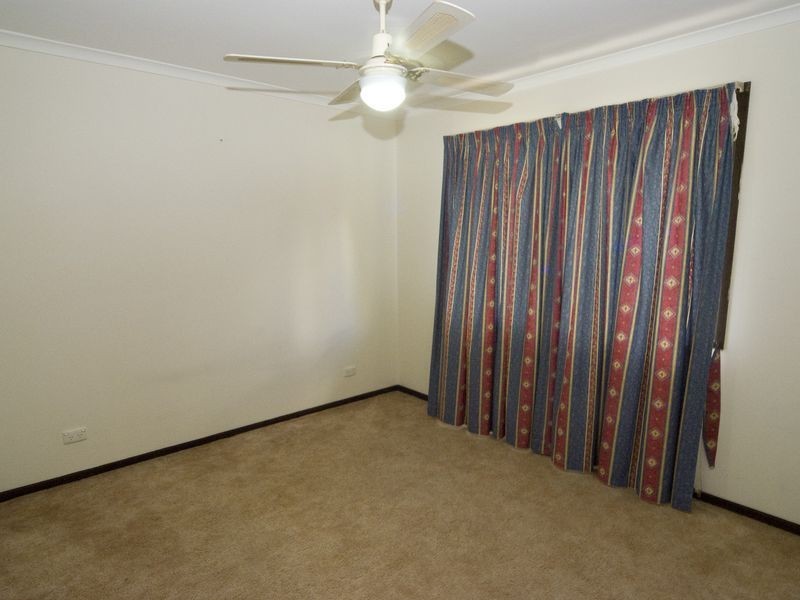 77 Radiata Street, Hillcrest QLD 4118