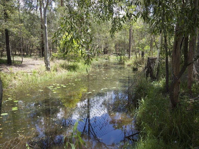 2 Carrum Road, South Maclean QLD 4280