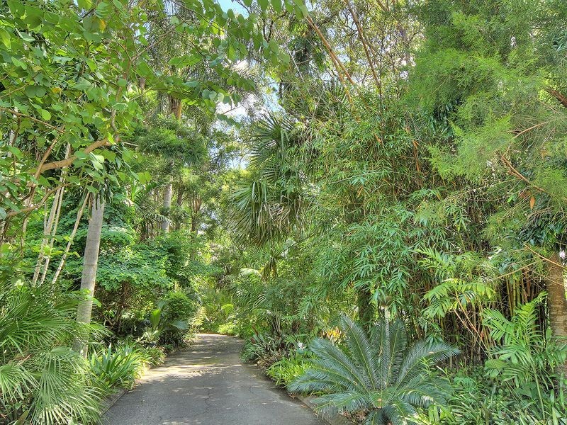 348 Johnson Road, Forestdale QLD 4118