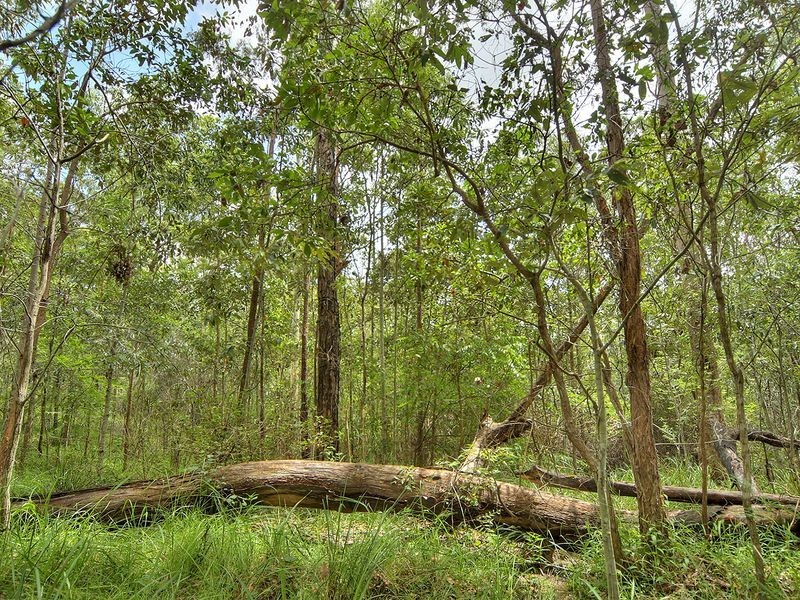 119 Huntingdale Drive, Greenbank QLD 4124
