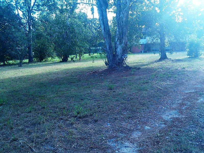 429 Chambers Flat Road, Park Ridge QLD 4125