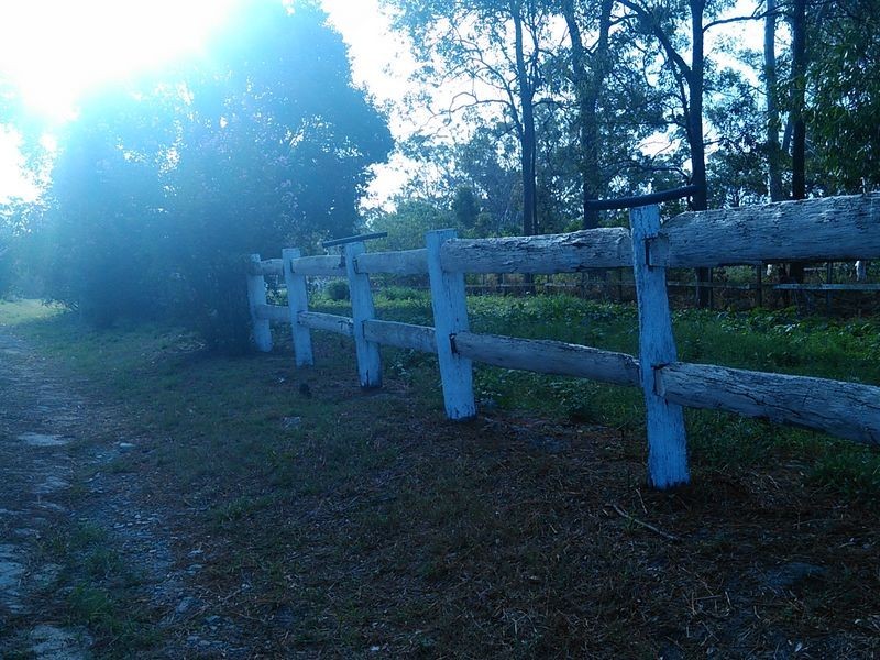 429 Chambers Flat Road, Park Ridge QLD 4125