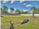GREEN RISE, Hillcrest QLD 4118