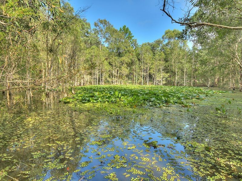 44-54 Amy Road, Greenbank QLD 4124