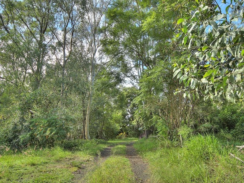 9 Robin Court, Forestdale QLD 4118