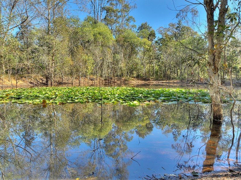 451 Stoney Camp Road, Greenbank QLD 4124