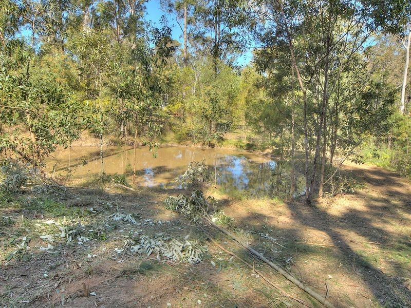 196 Cheviot Street, Greenbank QLD 4124