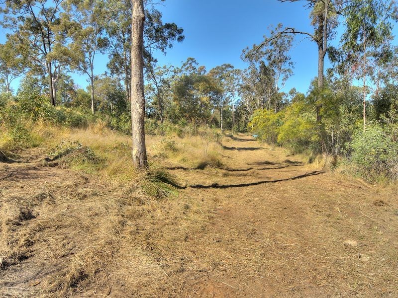 196 Cheviot Street, Greenbank QLD 4124