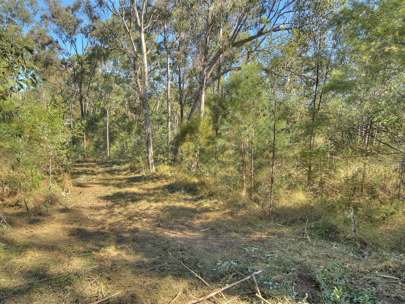 196 Cheviot Street, Greenbank QLD 4124