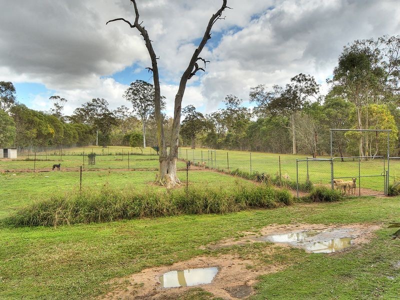 77 Smith Road, Park Ridge South QLD 4125