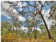 2 Klipspringer Court, Greenbank QLD 4124