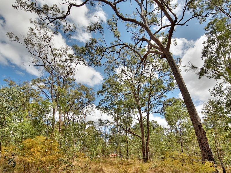 2 Klipspringer Court, Greenbank QLD 4124