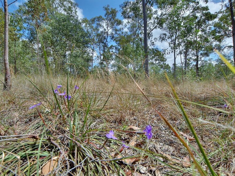 2 Klipspringer Court, Greenbank QLD 4124