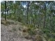 2 Klipspringer Court, Greenbank QLD 4124