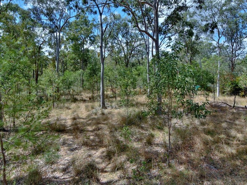 2 Klipspringer Court, Greenbank QLD 4124