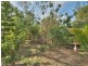 58 Smith Road, Park Ridge South QLD 4125