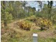 58 Smith Road, Park Ridge South QLD 4125