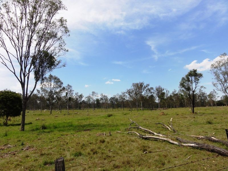 130 Tea Tree Avenue, Mount Forbes QLD 4340