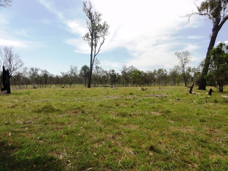 130 Tea Tree Avenue, Mount Forbes QLD 4340