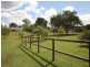 77 Dundee Road, North Maclean QLD 4280