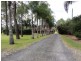 452 Teviot Road, North Maclean QLD 4280