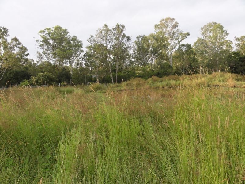 134 Sharon Drive, North Maclean QLD 4280