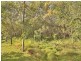 315 Backwater Road, Greenbank QLD 4124