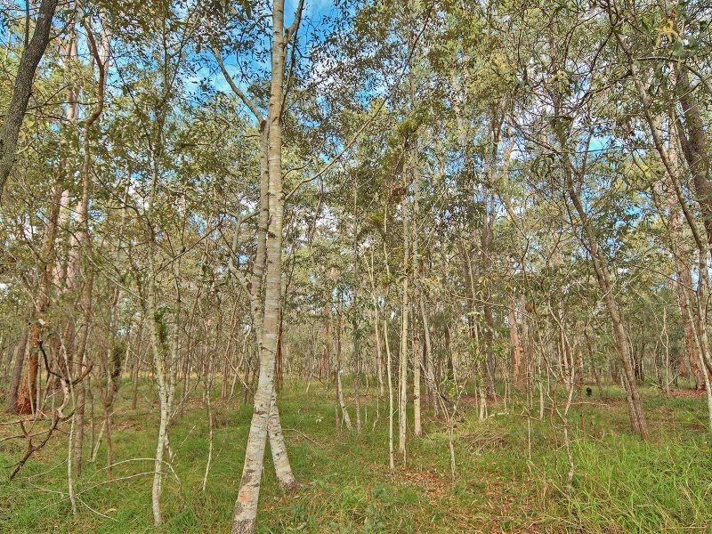 315 Backwater Road, Greenbank QLD 4124